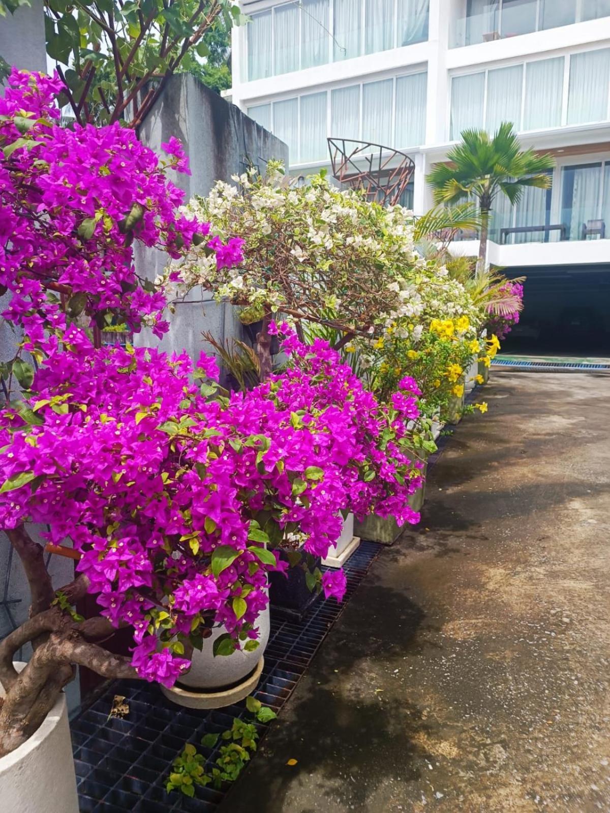 Smart Conzept 2Bdr Apartment Pantai Kata Bagian luar foto